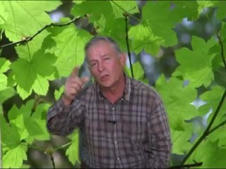 MI ATOTONILCO BONITO    "LA FALTA DE PROGRAMAS REALES PARA LA GENTE MAS DESPROTEGIDA"