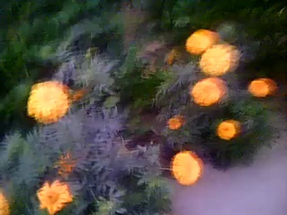 Vid0000