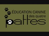 Éducateur canin : L'anxiété de séparation chez le chien