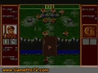 Wii Points Card (Spanish) www.gameprotv.com