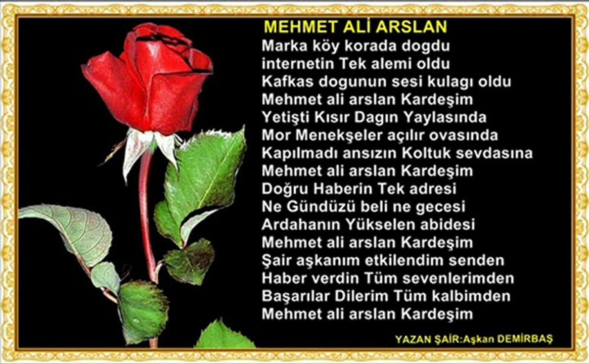 MEHMET ALİ ARSLAN