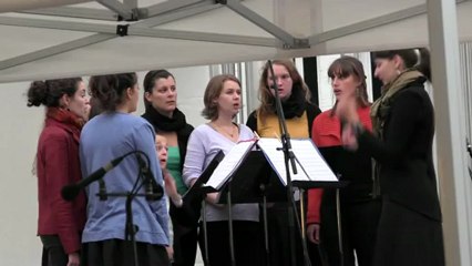 NDB - Chorale Chrysalide - Colchique