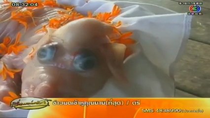 RuengLoa-17-Jan-2013_3