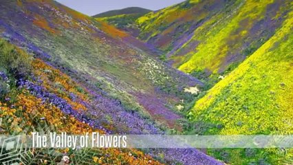 Uttaranchal Tourist Places: Discover the Spirit of Your Journey