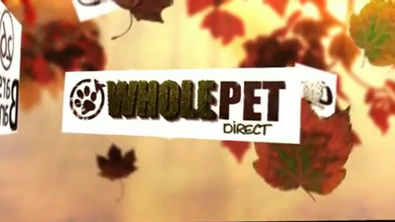 Pet Supplies Store WholePetDirect.com Is Offering Avant Garde Green Day Retractable Leash!