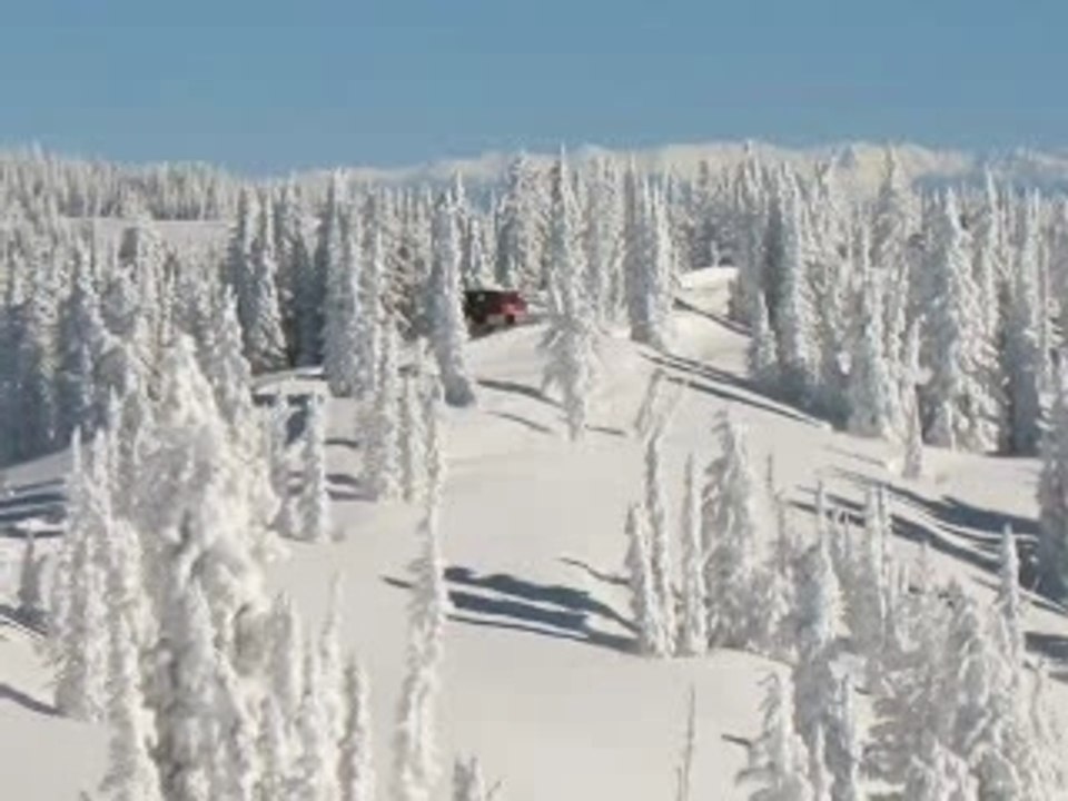 Steamboat Powdercats