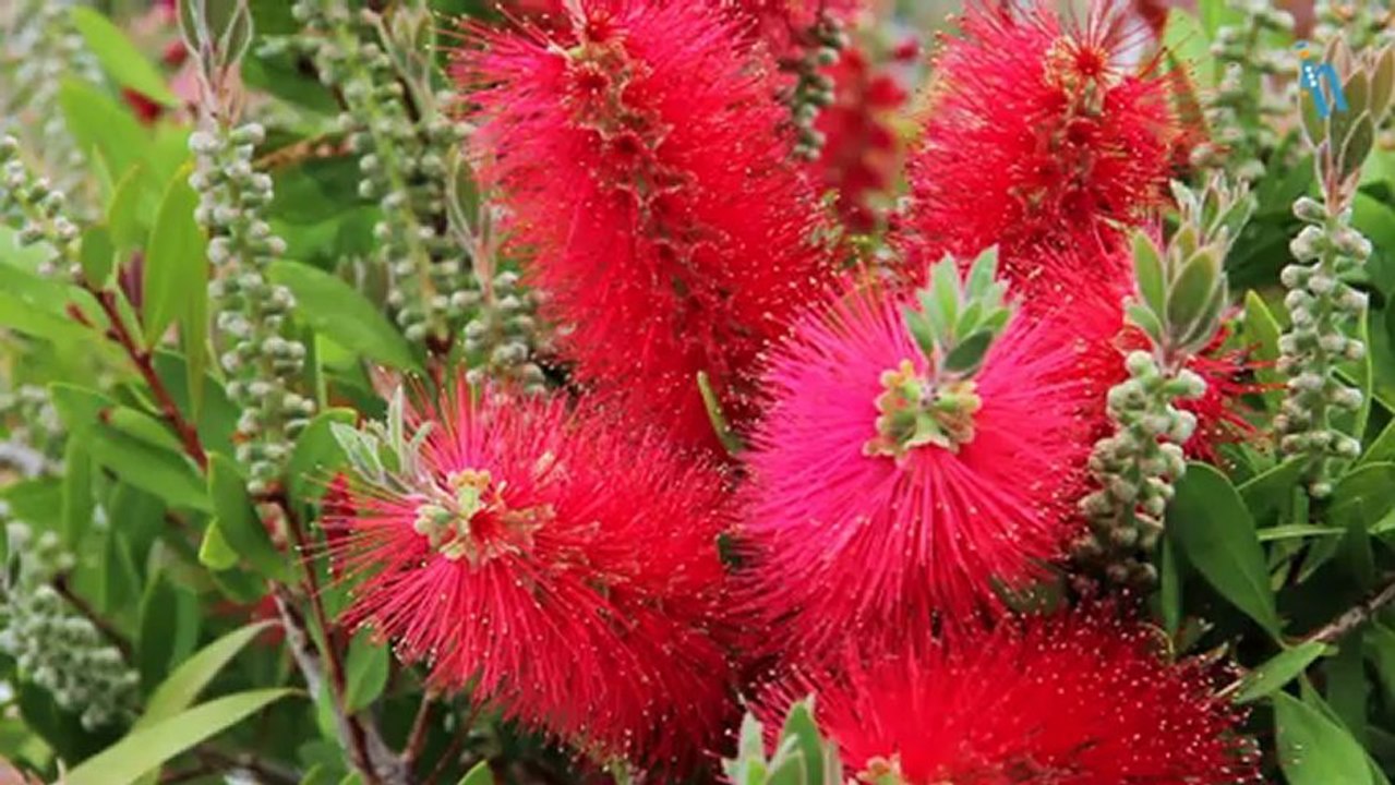 Salou - Hotel California Garden (Quehoteles.com)