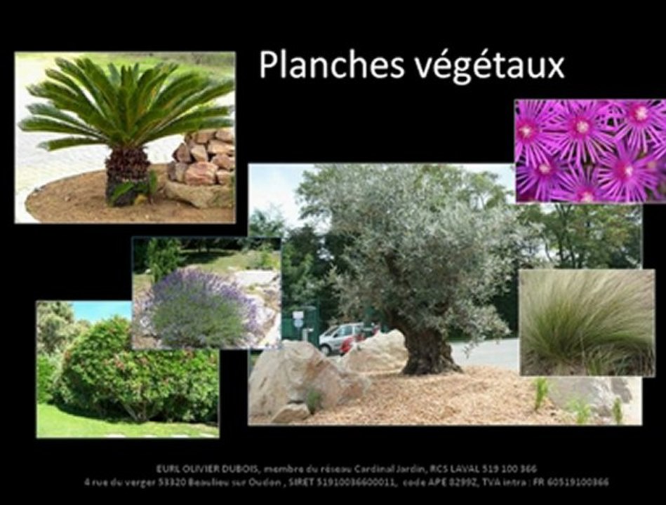 JARDIN DU SUD