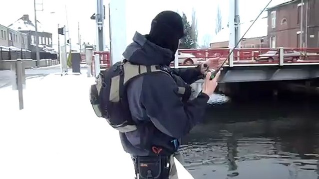 carpe aux leurres souple