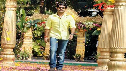 NTR Baadshah Movie Working Stills