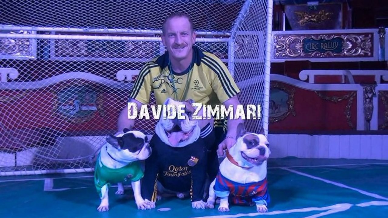Football Dogs - Davide Zammari - The Show