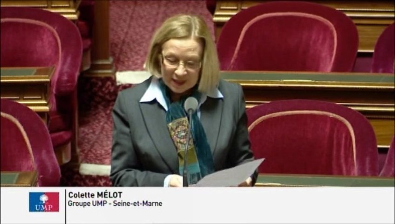 Colette Mélot, Sénateur de la Seine-et-Marne : Avenir du centre de détention de Melun
