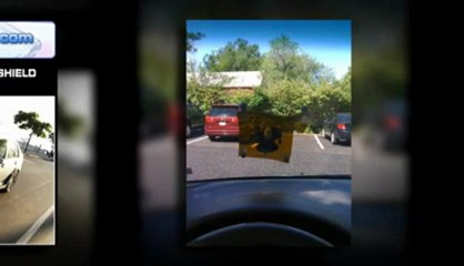Auto Glass Repair Shops in Charlotte, NC