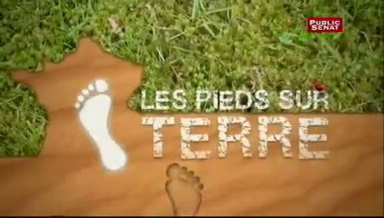 Les pieds sur terre: Le cidre breton recycle ses déchets