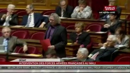 SEANCE,Débat, sur l'engagement des forces armées au Mali