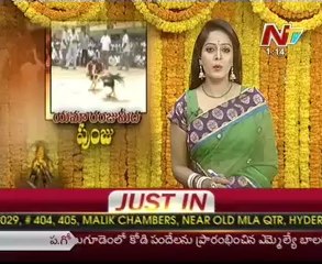 Fake Notes Hulchul in Cock fight bettings