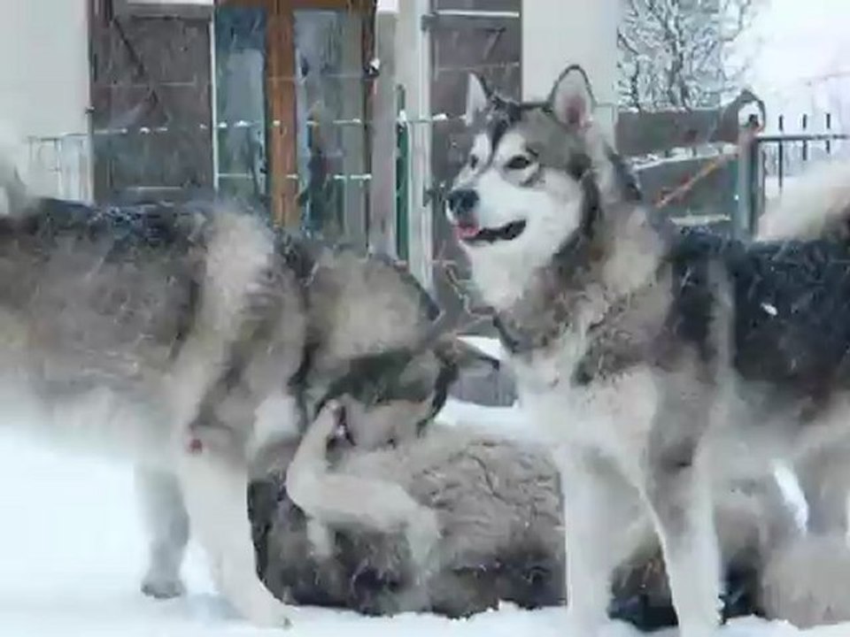 16/01/13 jeu de neige