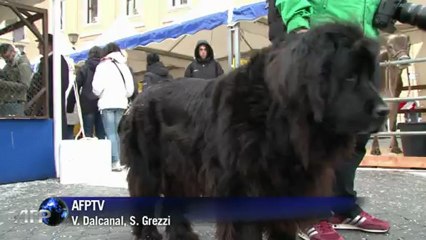 Benção aos animais