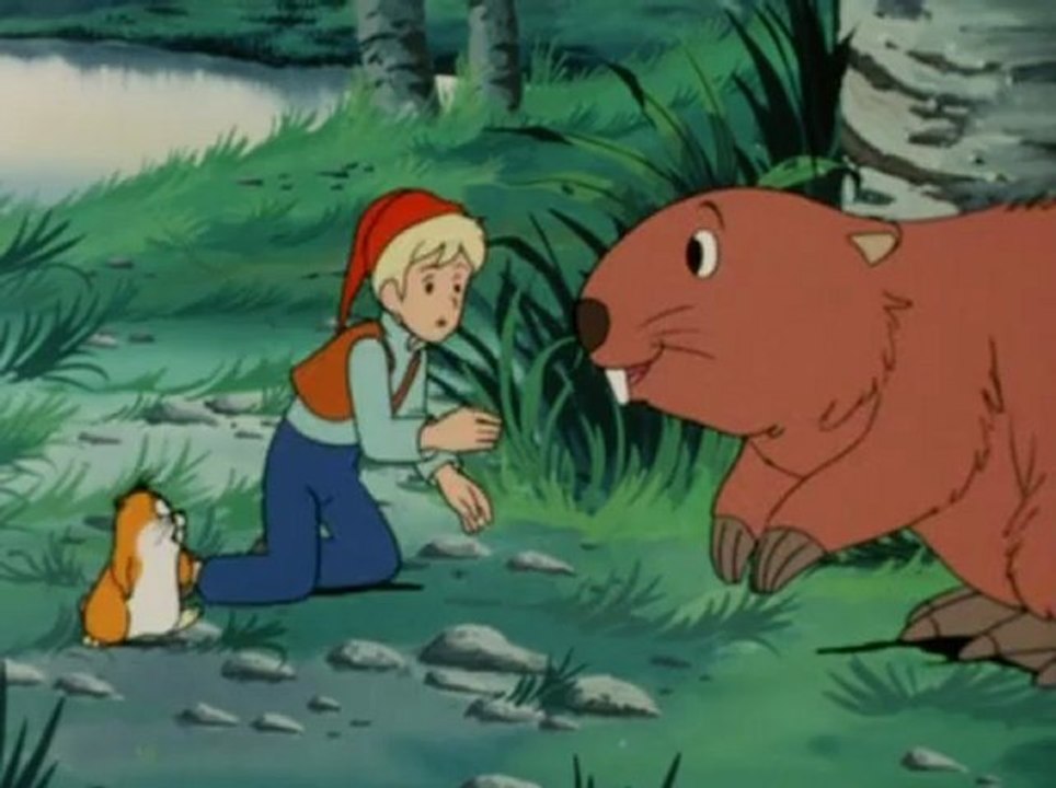 Nils Holgersson - Ep 38 - L'été en Laponie