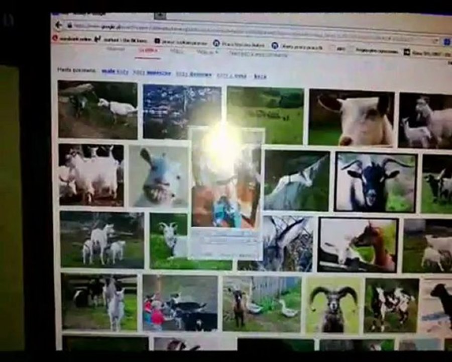 Parodia Czlowieka ktory gapil sie na kozy