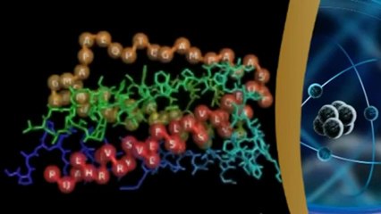 Təkamül nəzəriyyəsinə zərbə: zülallar