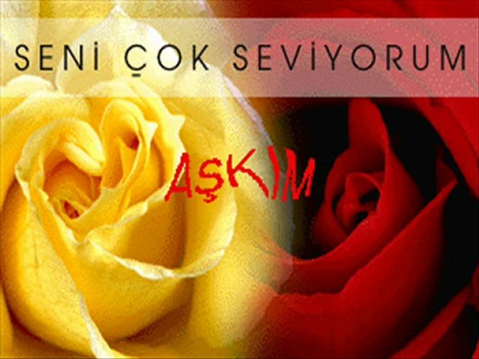 ZERRİN ÖZER SEN CANIMSIN & ÖLÜRÜM SANA