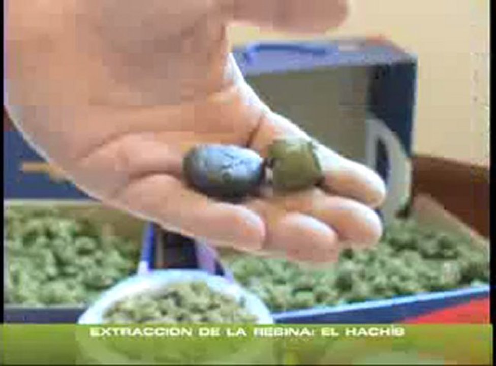 22 - Vìdeo Dailymotion