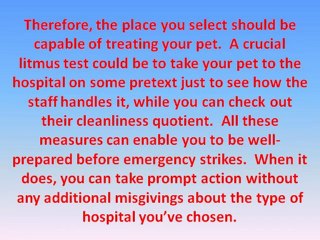 Minding the Needs of Your Pets