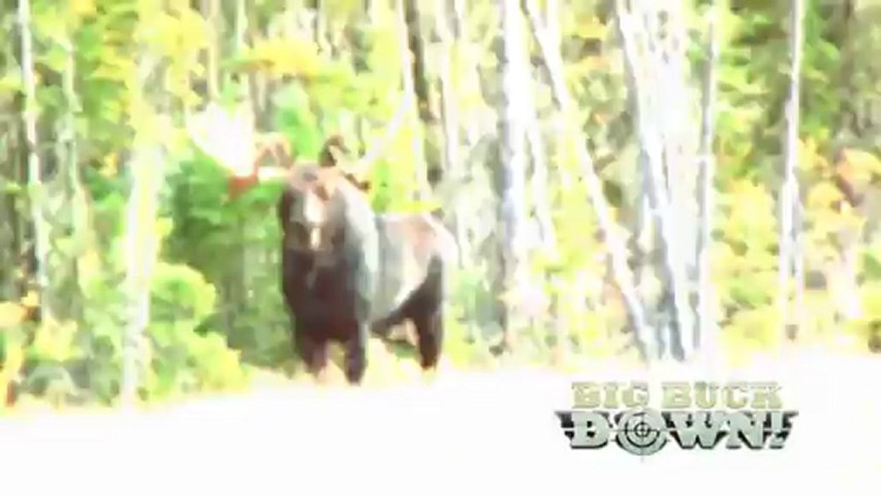 Share Your hunt with Big Buck Down! Built by hunters, for hunters.