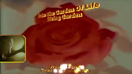 Proof of Heaven - Journey Into The Afterlife - A Near Death Experience