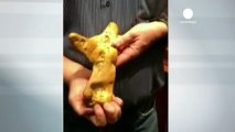 Golden find: huge nugget of gold found in Australia