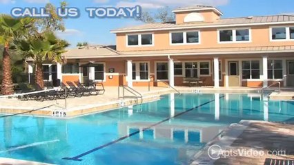 Columns at Bear Creek Apartments in New Port Richey, FL - ForRent.com
