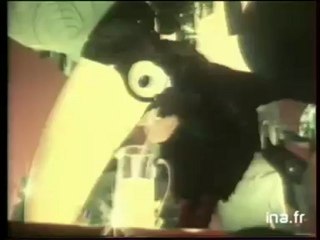 Pub boisson Banga Quick 2