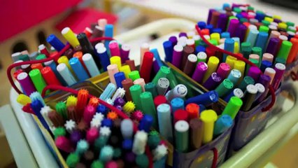 Reportage en école primaire - Ecole des Allées