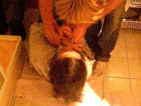 A poil ! à poil ! à poil !