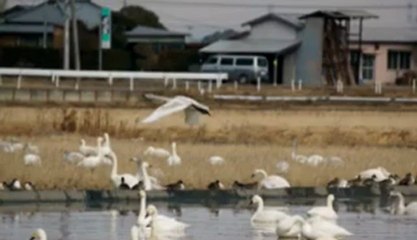 魂リク　もう一つの土曜日
