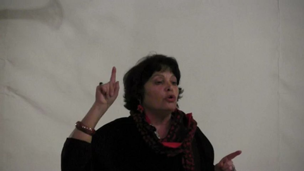 Débat antennes relais / ondes électromagnétiques : intervention de Michèle Rivasi