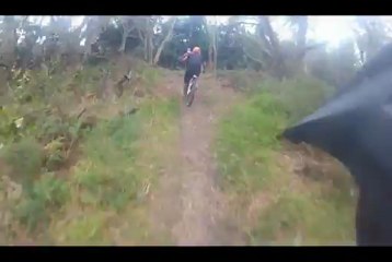 dh 3bassin 974 réunion