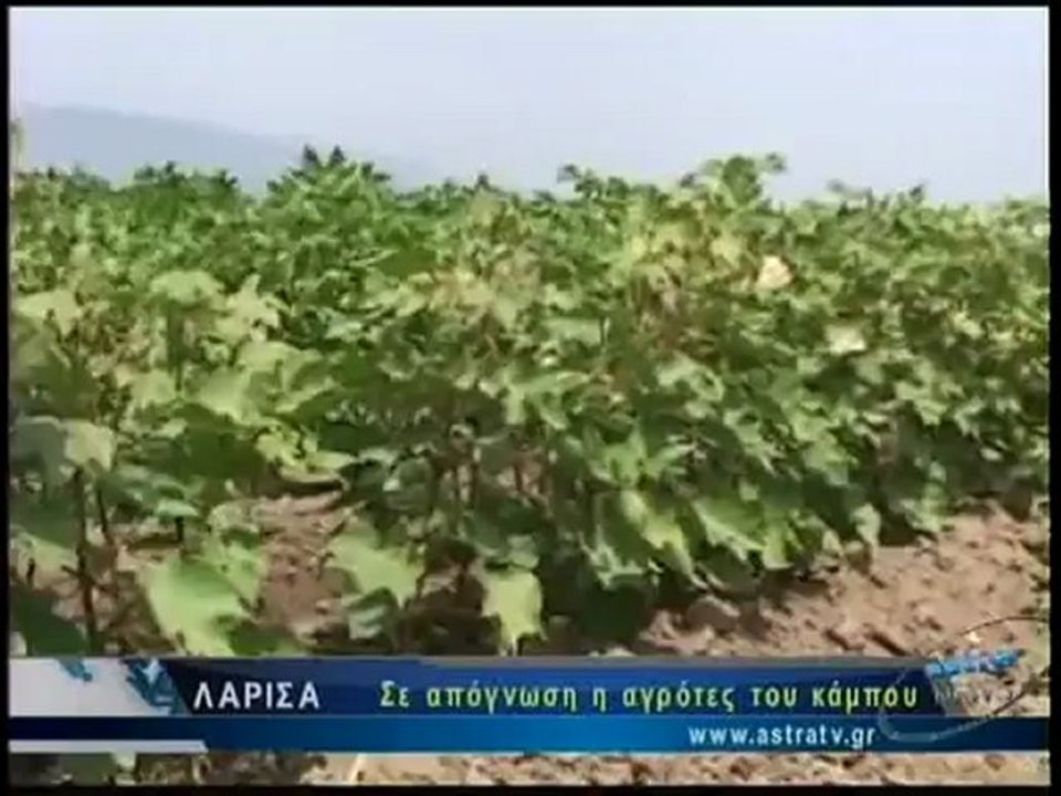 ΔΕΛΤΙΟ ΕΙΔΗΣΕΩΝ 01/12/2012 18:00