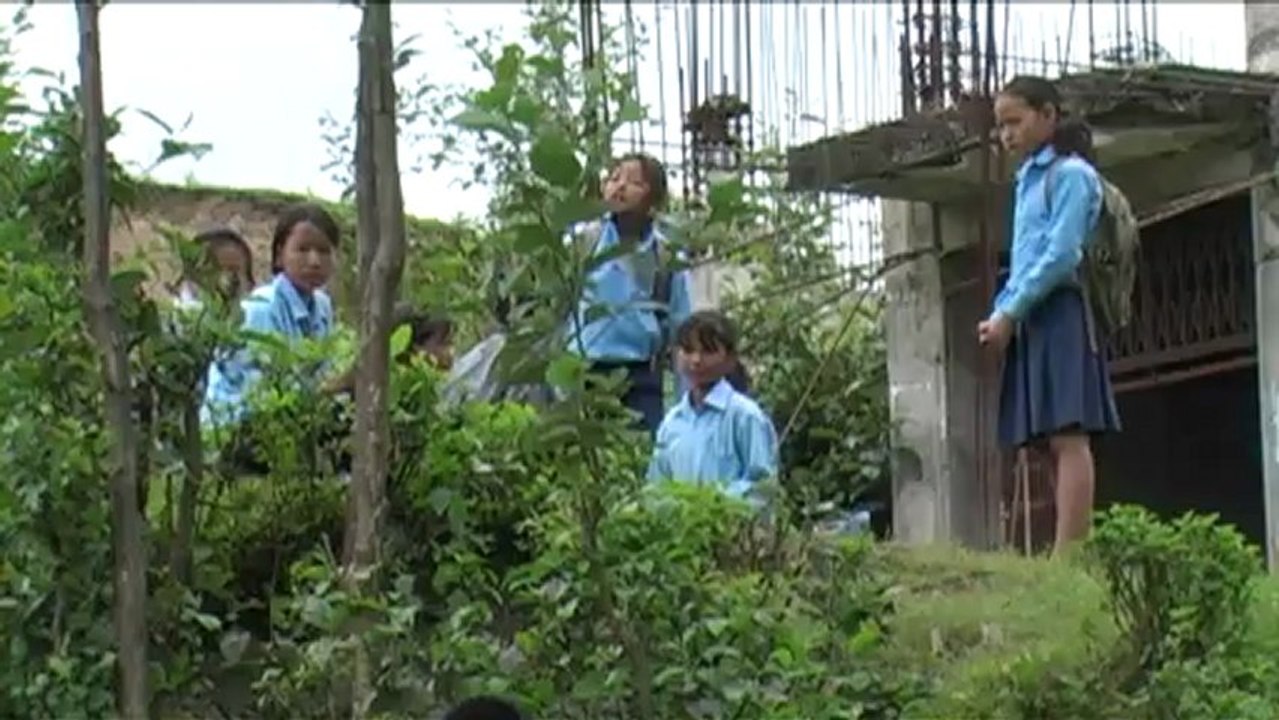 nepal ppot