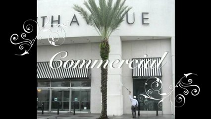 Orlando Pressure Washing Service 407-656-0442