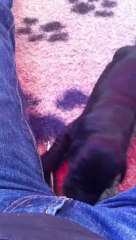 les premiers pas des flat coted