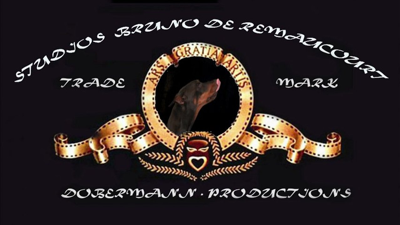 Logo 2013 avec Ambre   DOBERMANN