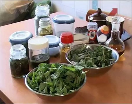 Обработка растений для бани