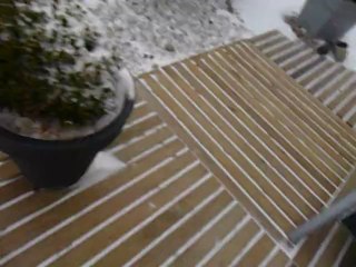 MES FILLES DANS LA NEIGE