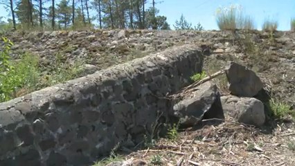 L'ONF par nature : Prévenir les risques en montagne