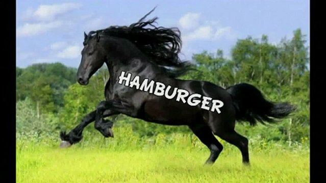 De la viande de cheval dans des hamburgers !!