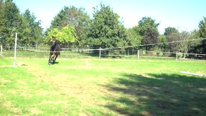 Ogame qui fait son caîd...