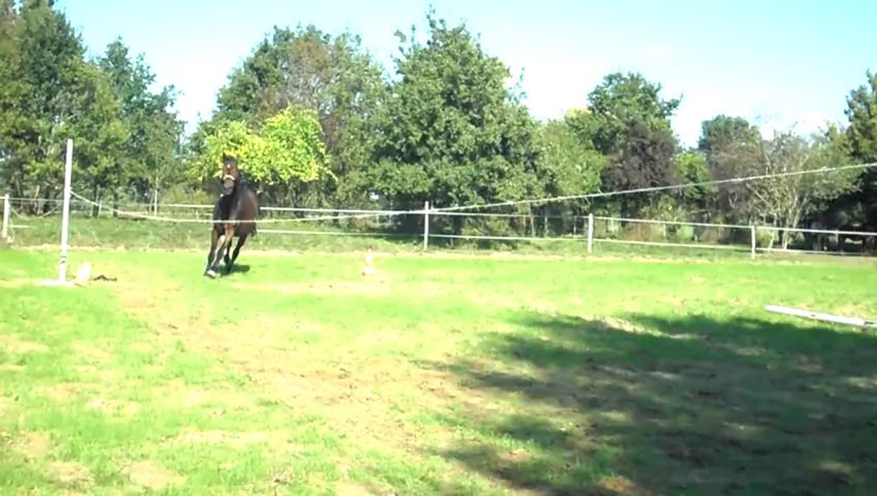 Ogame qui fait son caîd...