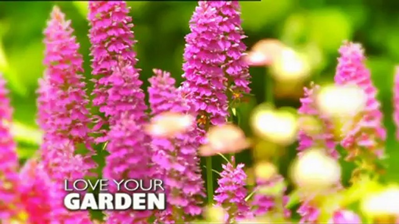Love Your Garden 6